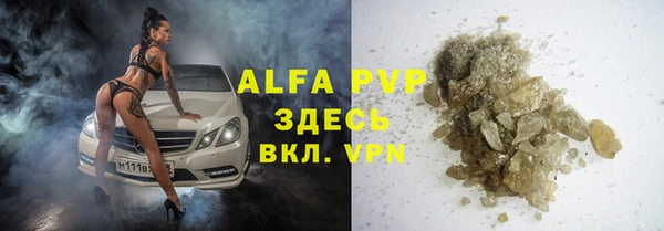 хмурый Каменка