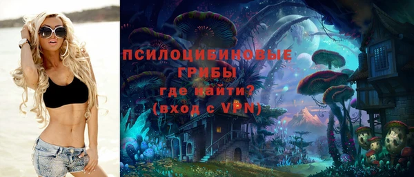 хмурый Каменка