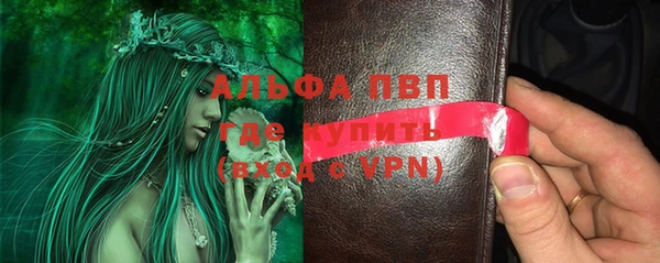 хмурый Каменка