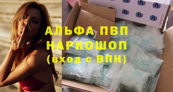 хмурый Каменка