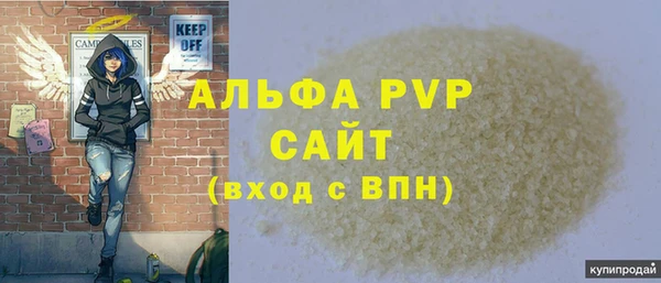 хмурый Каменка
