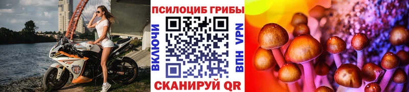 Галлюциногенные грибы мицелий Великие Луки